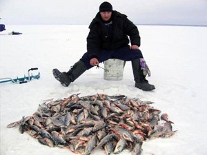 Власти региона намерены использовать охоту и рыболовство как метод борьбы с безработицей