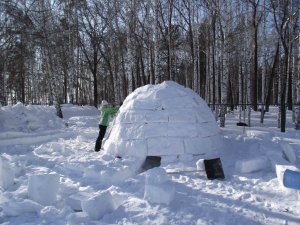 В Томске построили снежную деревню (фото)
