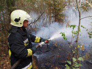 Горячий май. Лесной пожар фото. Видео по пожарной безопасности. Пожарные ребята видео Омск. 220 Кубанских пожарных.