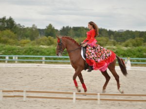Жокеи станцевали на лошадях «балет» (фото)