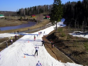 Между Академгородком и Степановкой появятся лыжные трассы, велодорожки и спортплощадки