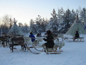 Сибирские туземцы (фото)