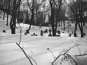 На воронинском кладбище заканчиваются свободные площади