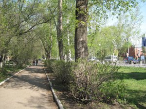 Благоустраивать улицу Пушкина будут собственники и предприятия