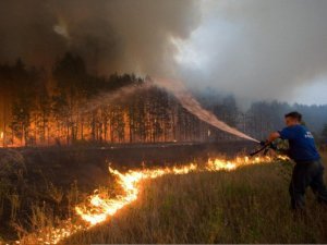 Площадь лесных пожаров по сравнению с прошлым годом увеличилась в восемь раз