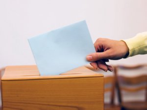 За ходом осенних выборов в Томске и районах области можно будет следить в Интернете