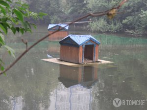 Озеро в Игуменском парке оградят от собак ближе к весне