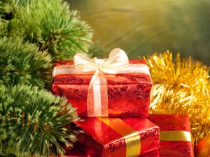 Детям из малообеспеченных семей вручат подарки к Новому году