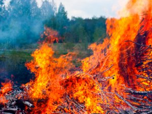 Добровольным лесным огнеборцам начали выплачивать деньги