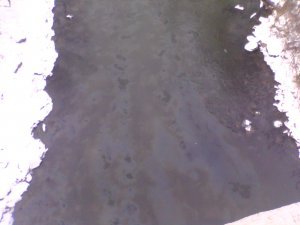 Вопрос о канализационных сбросах в Ушайку решится только в следующем году