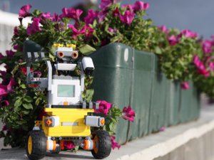 Уик-энд: фестиваль субкультур, конкурс красоты для роботов и цветочная выставка