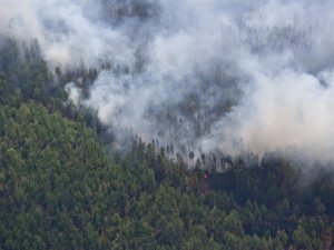 Из-за пожаров в шести районах области ограничен доступ в лес