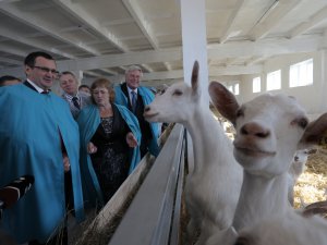 Министр сельского хозяйства и губернатор открыли новую козоводческую ферму