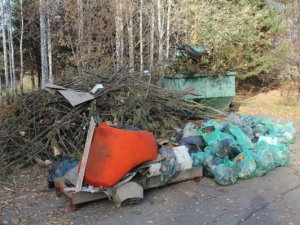 Завтра блогеры и активисты уберут мусор в роще на Каштаке и на улице Смирнова