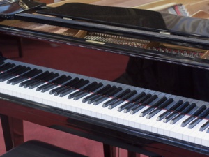 Народный артист России Денис Мацуев предложил помощь в покупке рояля для БКЗ