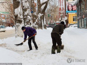 В новогодние праздники студенты выйдут на уборку улиц